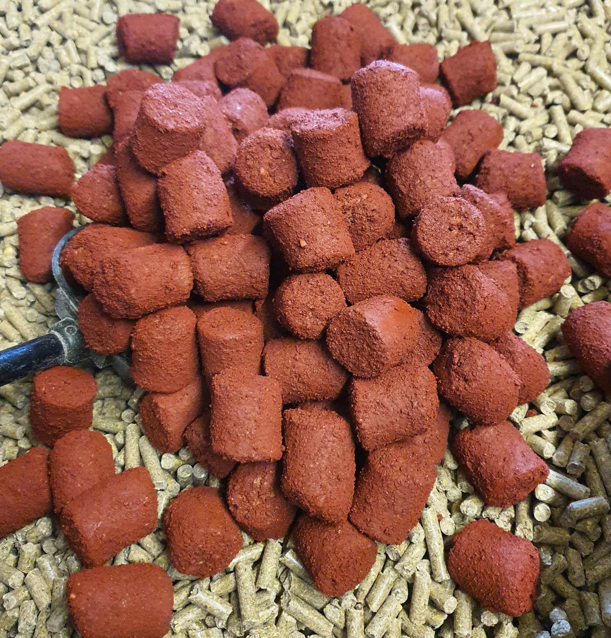 Booster Red halibut 12mm 5kg
