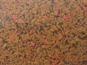 Method mix Mango 5kg
